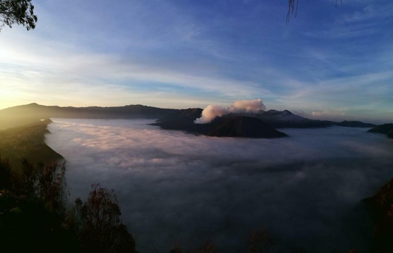 DSH Homestay Banyuwangi  Luaran gambar